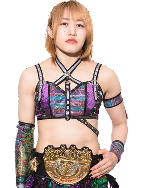 Women Wrestler Render